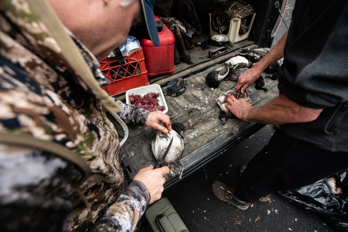 Five Steps To A Successful Waterfowl Hunt