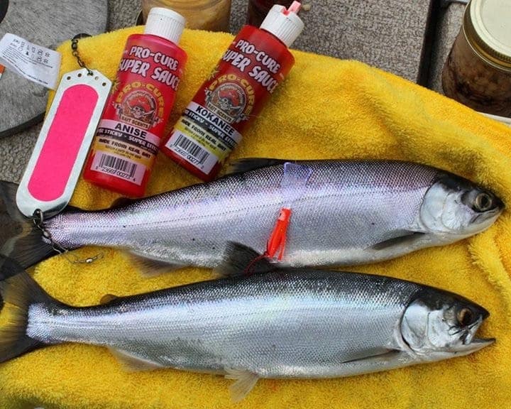 The Best Kokanee Leader Rig Storage – Gone Fishing Northwest