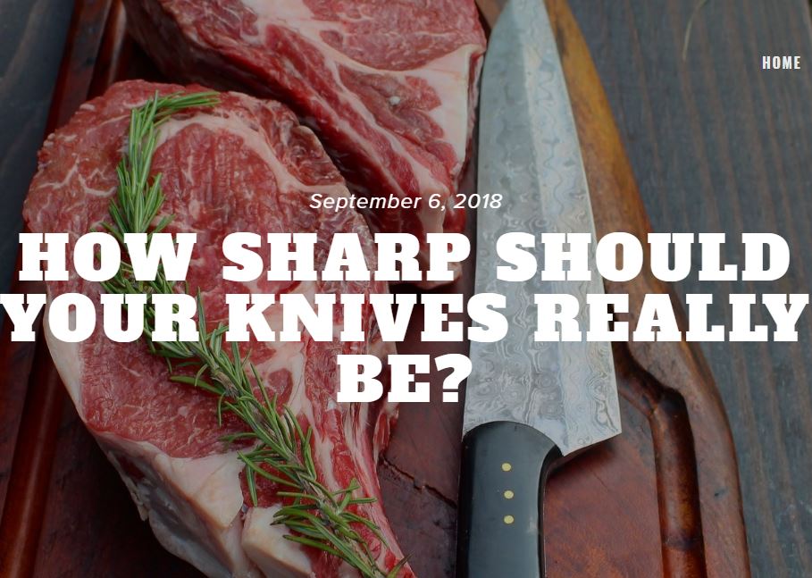 Over the Fire Review of the Work Sharp Culinary E5- How Sharp Should Your Knives Really Be?