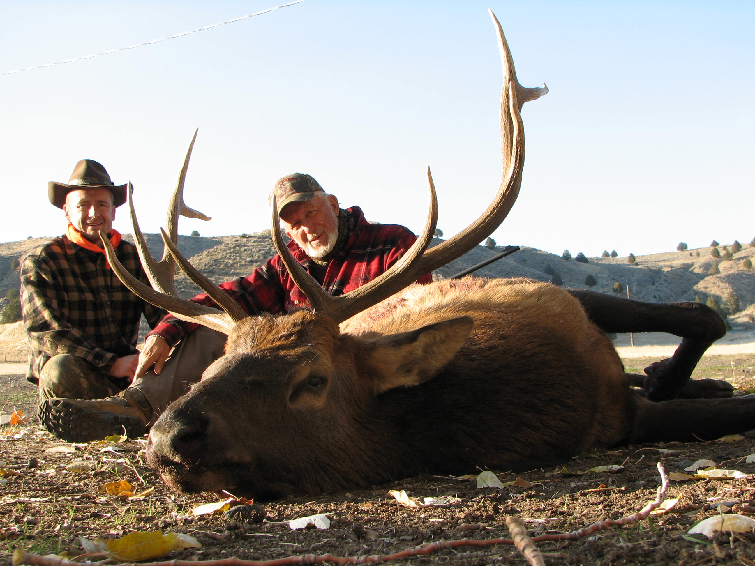 Striking Gold In Elk Season