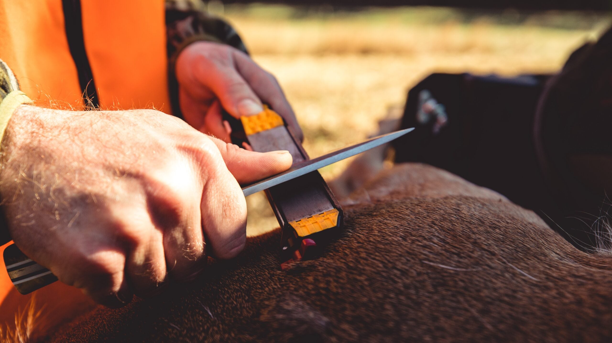 whitetail hunting sharpening knife on work sharp tools guided field sharpener
